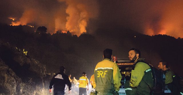 280 Einsatzkräfte des Cabildos, der Regionalregierung, der Katastropheneinsatztruppe des Militärs und der Polizei sowie 100 Freiwillige kämpften gegen die Flammen an. Foto: EFE