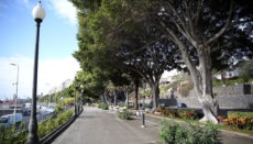 Die Avenida Anaga in Santa Cruz de Tenerife Foto: EFE