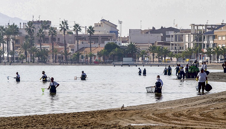 Mar Menor ist die größte Salzwasserlagune Europas. Im Oktober 2019 kam es infolge starker Regenfälle, durch die nitrathaltiges Wasser in die Lagune floss, zu einem Massensterben von Fischen. Foto: EFe