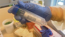 Seit März wurden auf den Kanarischen Inseln mehr als 200.000 PCR-Tests durchgeführt. In den letzten Wochen sind vor allem junge Menschen an Covid-19 erkrankt. Foto: Gobcan