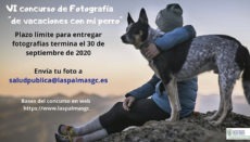 Letzter Abgabetermin für den Fotowettbewerb „Ferien mit meinem Hund“, zu dem die Einwohner von Las Palmas aufgerufen sind, ist der 30. September 2020. Foto: Ayuntamiento Las Palmas