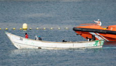 Die Seenotrettung hat alle Hände voll zu tun, die Insassen der Pateras sicher an Land zu bringen. Trotz aller Bemühungen fordert die Kanarenroute viele Todesopfer. Foto: EFE