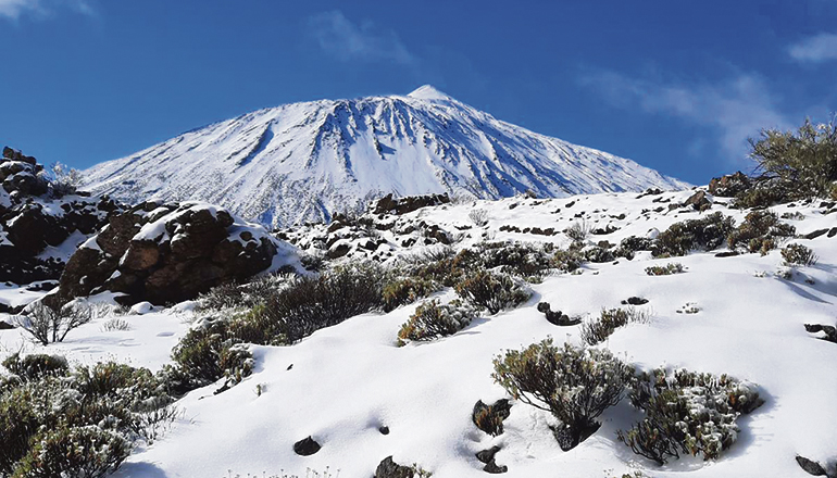 Im 17. und 18. Jahrhundert lag auf Teneriffas Gipfel noch häufiger und länger Schnee als heute. Das Eis, das in den Schneebrunnen des Teide monatelang erhalten blieb, wurde mit Maultieren in die bewohnten Inselgebiete transportiert – ein Knochenjob für Mensch und Tier. Foto: moisés pérez