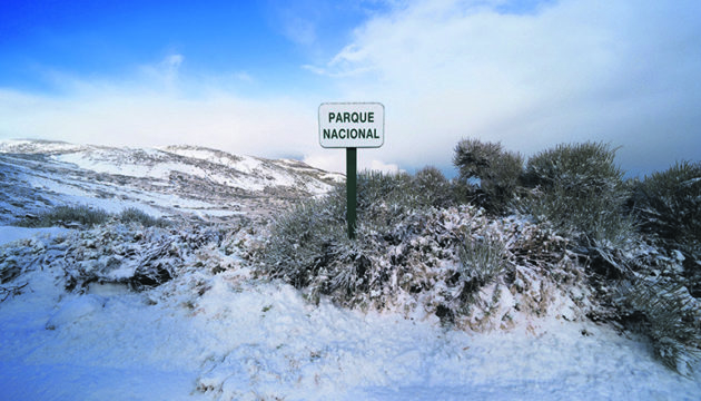 Die verschneiten Cañadas am 27. Januar Foto: EFE
