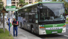Seit dem 1. September fahren die „Palmeros“ mit öffentlichen Bussen umsonst. Foto: efe